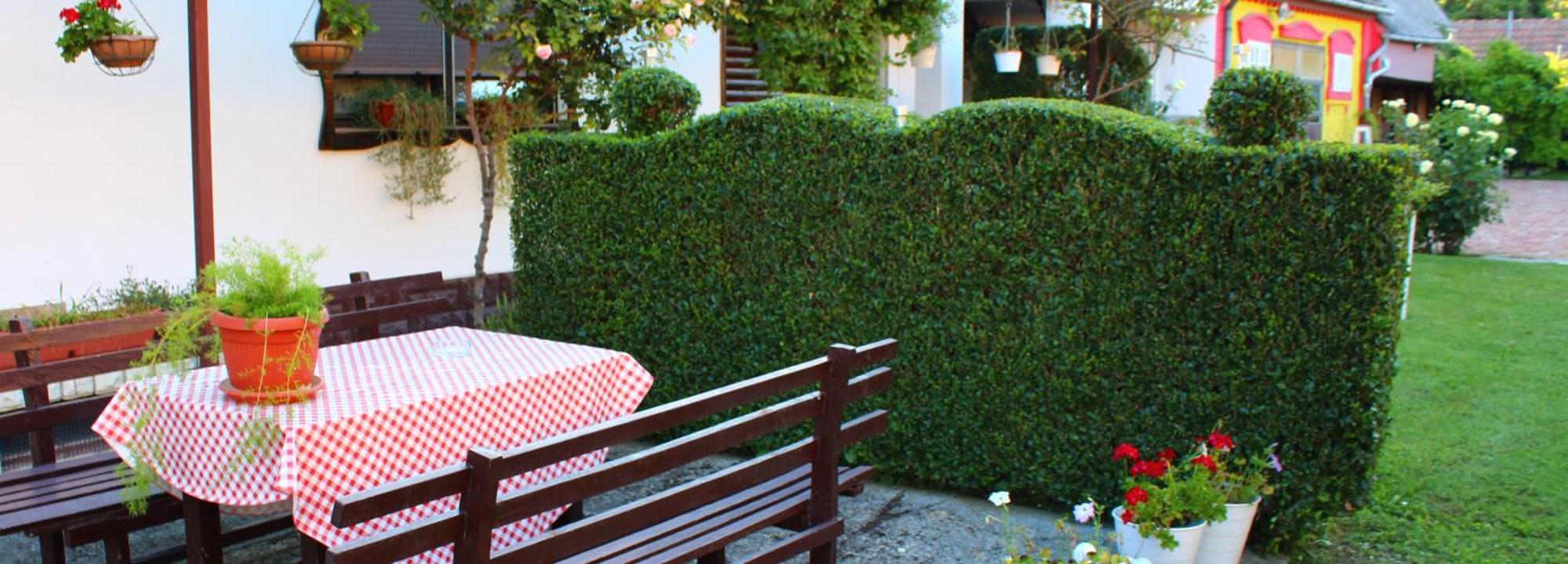 Apartman Sokica 比佐瓦茨 外观 照片