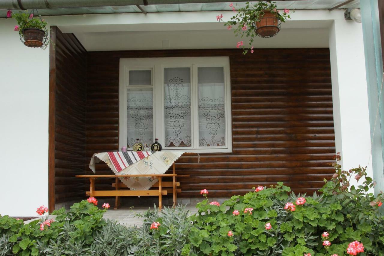 Apartman Sokica 比佐瓦茨 外观 照片